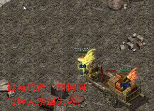 �������棺������쵼������ʧ�