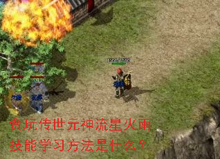 ̰�洫��Ԫ�����ǻ��꼼��ѧϰ������ʲô��