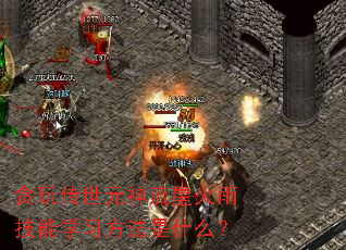 ̰�洫��Ԫ�����ǻ��꼼��ѧϰ������ʲô��