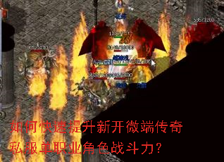 ��ο��������¿�΢�˴���˽����ְҵ��ɫս������