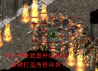 ���Ŵ������������ؾ�����δ��촫�������