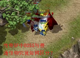 ����SF��BOSS����ͨ���﾿��������֣�