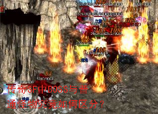 ����SF��BOSS����ͨ���﾿��������֣�