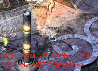 ���¿���Ѫ����˽���У�����Ͽ�ȵ����λ�ú�·����ô�ߣ�
