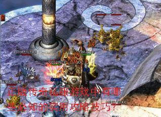 ���洫��˽����Ϸ������Щ��֪��ʵ�ù��Լ��ɣ�