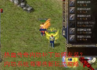 ��Ѫ�����ڹ�������ΰ�װ���ڹ�ϵͳ����Щ���淨���ԣ�
