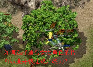 ���ѡ���ʺ�Ů�Խ�ɫ�Ĵ���ְҵ����������ս����