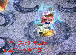 ��ο����������Ŵ��浥ְҵ��ɫ�ȼ���