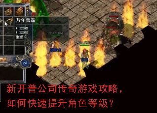 新开普公司传奇游戏攻略,如何快速提升角色等级? 新开普公司传奇游戏攻略,如何快速提升角色等级?