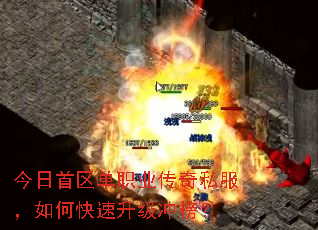 ����������ְҵ����˽������ο����������