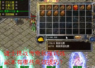 ��ʿ��ս����˽��������������Щ��Ч���ɣ�