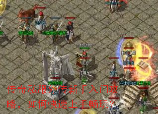 ����˽���⴫�������Ź��ԣ���ο������ֳ��棿