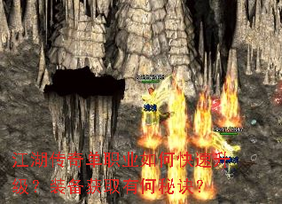 �������浥ְҵ��ο���������װ����ȡ�к��ؾ���