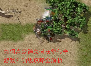 ��θ�Чͨ�عǻ��ô�����Ϸ����������ȫ����