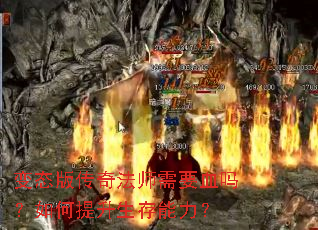 ��̬�洫�淨ʦ��ҪѪ�������������������