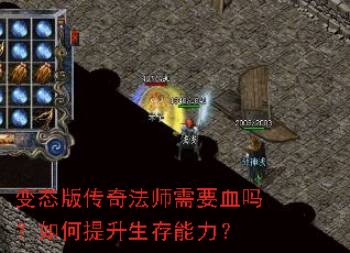 ��̬�洫�淨ʦ��ҪѪ�������������������