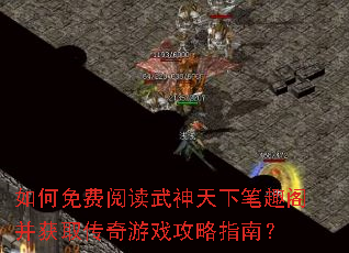 �������Ķ��������±�Ȥ�󲢻�ȡ������Ϸ����ָ�ϣ�