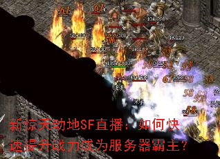 新惊天动地SF直播:如何快速提升战力成为服务器霸主? 新惊天动地SF直播:如何快速提升战力成为服务器霸主?