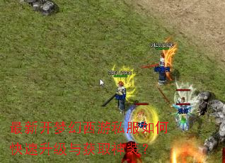 最新开梦幻西游私服如何快速升级与获取神装? 最新开梦幻西游私服如何快速升级与获取神装?