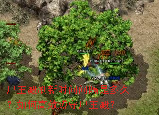 尸王殿刷新时间间隔是多久?如何高效蹲守尸王殿? 尸王殿刷新时间间隔是多久?如何高效蹲守尸王殿?