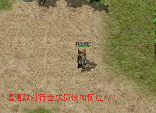 �����ж��л��Ա�����Ӧ�ԣ�