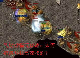 传奇烧猪洞攻略:如何把握时机高效收割? 传奇烧猪洞攻略:如何把握时机高效收割?