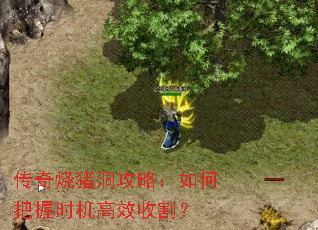 传奇烧猪洞攻略:如何把握时机高效收割? 传奇烧猪洞攻略:如何把握时机高效收割?